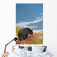 A Black Bear Foraging For Berries On A Hillside Wall Mural