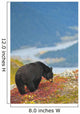 A Black Bear Foraging For Berries On A Hillside Wall Mural