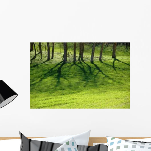 Shadows Wall Decal