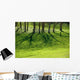 Shadows Wall Decal