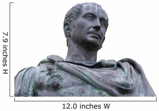 Roman Emperor Julius Caesar Wall Decal