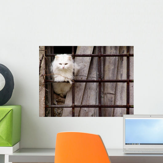 Gatto Bianco Wall Decal