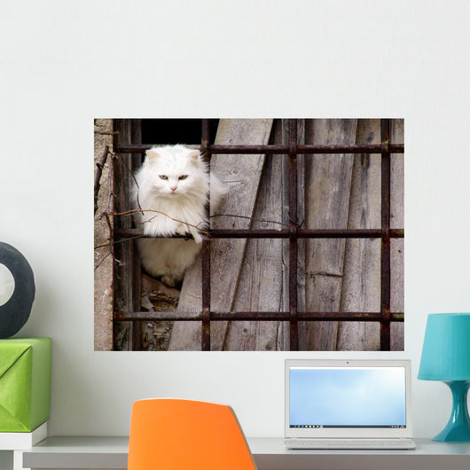 Gatto Bianco Wall Decal