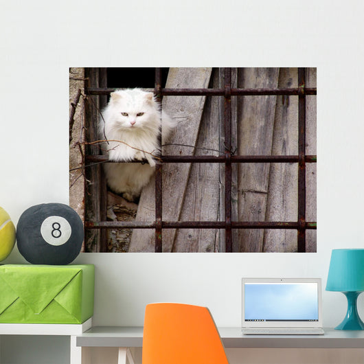 Gatto Bianco Wall Decal