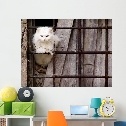 Gatto Bianco Wall Decal