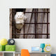 Gatto Bianco Wall Decal