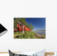 Red Salmon Hang Wall Mural