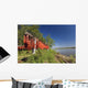 Red Salmon Hang Wall Mural