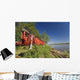 Red Salmon Hang Wall Mural