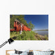 Red Salmon Hang Wall Mural