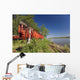 Red Salmon Hang Wall Mural
