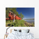 Red Salmon Hang Wall Mural
