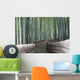 Bamboo Forest Walk Wall Mural