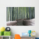 Bamboo Forest Walk Wall Mural