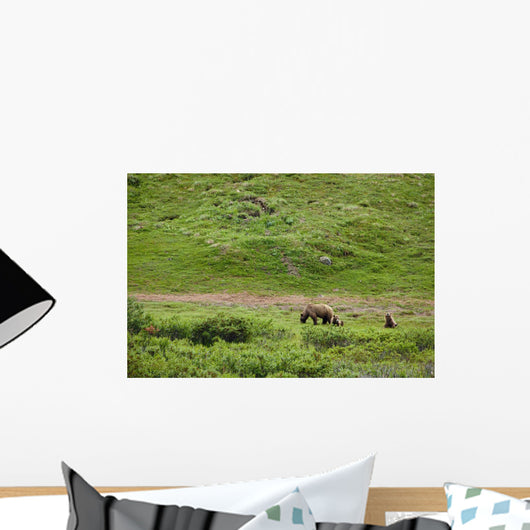 Brown Bear Sow With Two Cubs Wall Mural