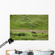 Brown Bear Sow With Two Cubs Wall Mural