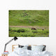 Brown Bear Sow With Two Cubs Wall Mural