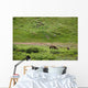 Brown Bear Sow With Two Cubs Wall Mural