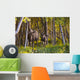 Cow And Calf Moose In Birch Forest Wall Mural