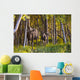Cow And Calf Moose In Birch Forest Wall Mural
