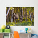 Cow And Calf Moose In Birch Forest Wall Mural
