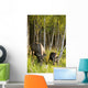 Cow And Calf Moose Feeding Wall Mural