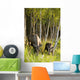 Cow And Calf Moose Feeding Wall Mural
