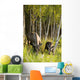 Cow And Calf Moose Feeding Wall Mural