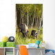 Cow And Calf Moose Feeding Wall Mural