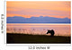 Moose Calf Feeding Wall Mural