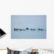 Sea Otters Swimming In Prince William Sound Wall Mural
