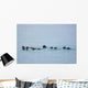 Sea Otters Swimming In Prince William Sound Wall Mural