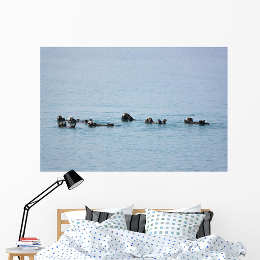 Sea Otters Swimming In Prince William Sound Wall Mural