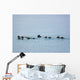 Sea Otters Swimming In Prince William Sound Wall Mural