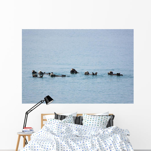 Sea Otters Swimming In Prince William Sound Wall Mural
