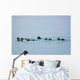 Sea Otters Swimming In Prince William Sound Wall Mural