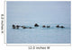 Sea Otters Swimming In Prince William Sound Wall Mural