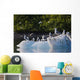 Kittiwakes And Seagulls Sitting On An Ice Berg Wall Mural
