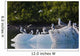 Kittiwakes And Seagulls Sitting On An Ice Berg Wall Mural