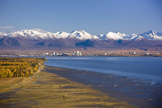 Aerial Anchorage Skyline Wall Decal