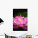 Lotus (Ueno, Tokyo shinobazuno-IKE pond) Wall Mural