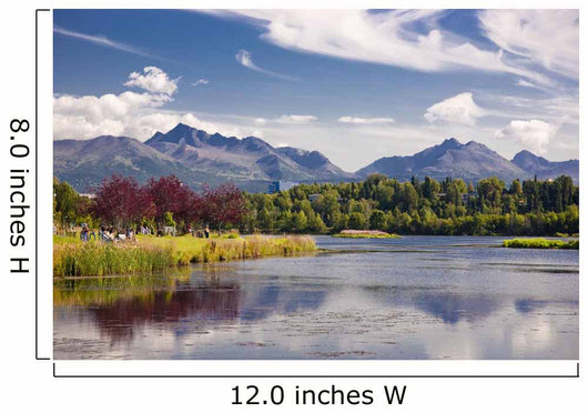 View Over Westchester Lagoon And The Chugach Mountains During Summer Wall Mural
