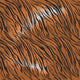 Tiger Fur Motif Repeating Wall Decal