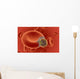 blood cell under attack Wall Mural