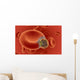 blood cell under attack Wall Mural