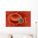 blood cell under attack Wall Mural