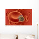 blood cell under attack Wall Mural