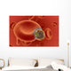 blood cell under attack Wall Mural