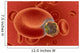 blood cell under attack Wall Mural