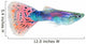 Guppy (Poecilia reticulata) Wall Decal